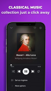 اسکرین شات 5 برنامه Phone Ringtones