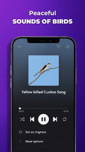 اسکرین شات 7 برنامه Phone Ringtones