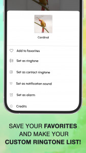 اسکرین شات برنامه Bird Calls, Sounds & Ringtones 4