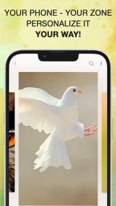 اسکرین شات 6 برنامه Bird Calls, Sounds & Ringtones