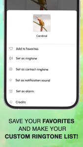 اسکرین شات 4 برنامه Bird Calls, Sounds & Ringtones
