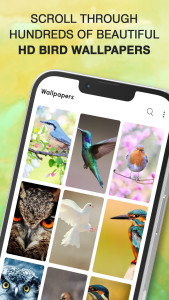 اسکرین شات 5 برنامه Bird Calls, Sounds & Ringtones