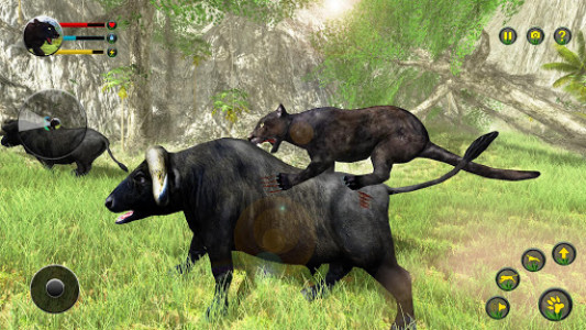 اسکرین شات برنامه Panther simulator 3d animal games 8