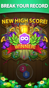 اسکرین شات 7 بازی Hexa Block Puzzle - Merge!