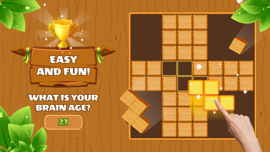 اسکرین شات 1 بازی Woody Block Puzzle: Wood Game