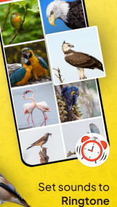 اسکرین شات 3 برنامه Animal Ringtone - Birds Sound