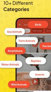 اسکرین شات 1 برنامه Animal Ringtone - Birds Sound