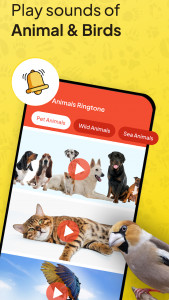اسکرین شات 2 برنامه Animal Ringtone - Birds Sound