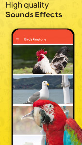 اسکرین شات 5 برنامه Animal Ringtone - Birds Sound