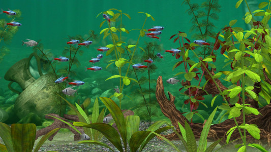 اسکرین شات 5 بازی Fish Farm 3 - Aquarium