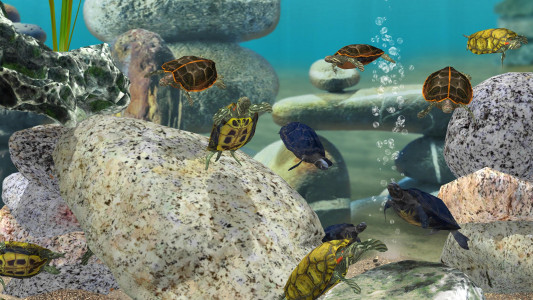 اسکرین شات 2 بازی Fish Farm 3 - Aquarium