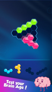 اسکرین شات بازی Block! Hexa Puzzle™ 4