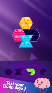 اسکرین شات بازی Block! Triangle Puzzle:Tangram 5
