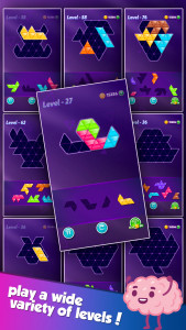 اسکرین شات 6 بازی Block! Triangle Puzzle:Tangram