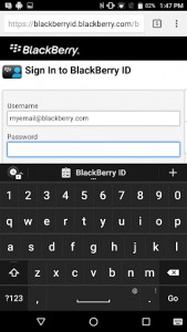 اسکرین شات برنامه BlackBerry Password Keeper 7