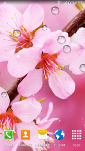 اسکرین شات برنامه Cherry Blossom Live Wallpaper 3