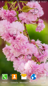 اسکرین شات برنامه Cherry Blossom Live Wallpaper 4