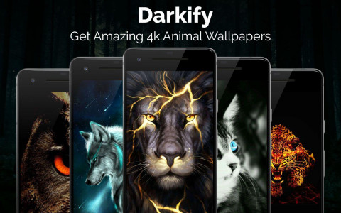 اسکرین شات برنامه Black Wallpaper: Darkify 3