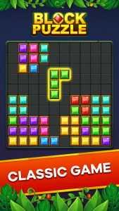 اسکرین شات بازی Block Puzzle 1