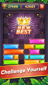 اسکرین شات 5 بازی Slidom - Block Puzzle Game