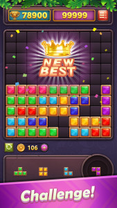 اسکرین شات بازی Block Puzzle Gem: Jewel Blast 5
