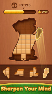 اسکرین شات بازی Block Puzzle: Wood Jigsaw Game 3