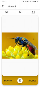 اسکرین شات 4 برنامه Color Palette