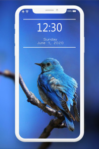 اسکرین شات برنامه Blue Wallpaper 4