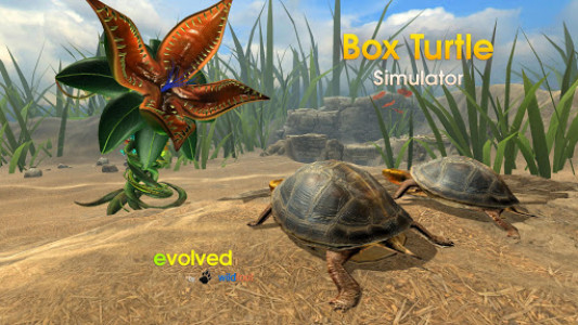 اسکرین شات بازی Box Turtle Simulator 7
