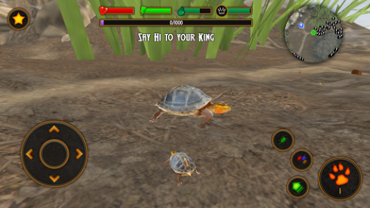 اسکرین شات بازی Box Turtle Simulator 8