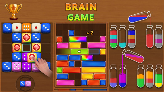اسکرین شات 1 بازی Brain Games - Block Puzzle