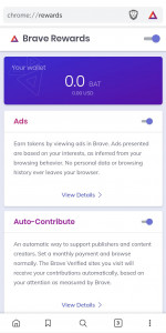 اسکرین شات برنامه Brave Browser (Beta) 5