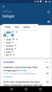 اسکرین شات برنامه Indonesian English Dictionary & Translator Free 2