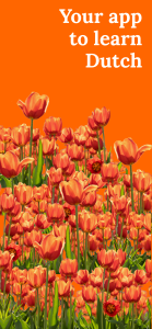 اسکرین شات 1 برنامه Learn Dutch - Beginners