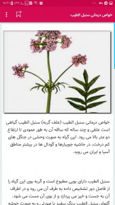 اسکرین شات برنامه طب سنتی و داروهای گیاهی 1