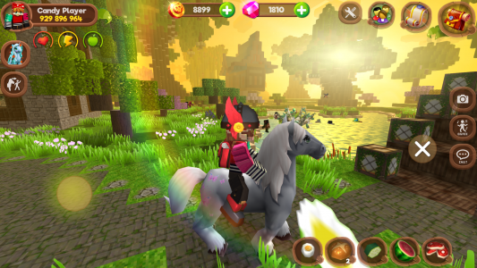 اسکرین شات بازی Pony World Craft 8