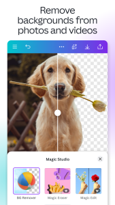 اسکرین شات 6 برنامه Canva: AI Video & Photo Editor