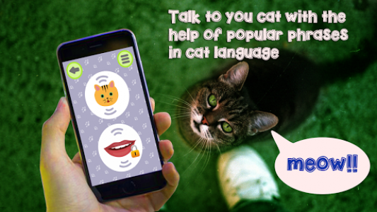 اسکرین شات بازی Cat Language Translator Simulator - Talk to Pet 6
