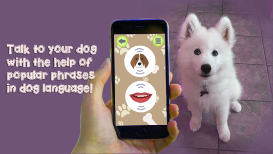 اسکرین شات بازی Dog Language Translator Simulator - Talk to Pet 2