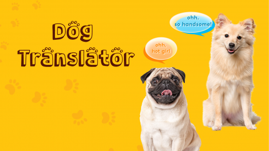 اسکرین شات 8 برنامه Translate for Animal: Cat, Dog