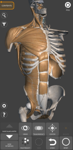 اسکرین شات 2 برنامه 3D Anatomy for the Artist
