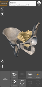 اسکرین شات 6 برنامه 3D Anatomy for the Artist