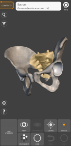 اسکرین شات برنامه 3D Anatomy for the Artist 6