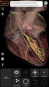 اسکرین شات برنامه Anatomy 3D Atlas 6