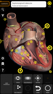 اسکرین شات برنامه Anatomy 3D Atlas 3