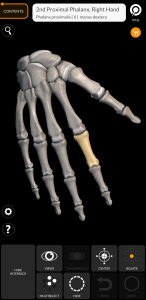 اسکرین شات 5 برنامه Skeleton | 3D Anatomy