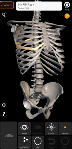 اسکرین شات برنامه Skeleton | 3D Anatomy 1