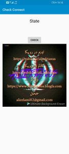 اسکرین شات برنامه بررسی اتصال 1