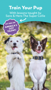 اسکرین شات برنامه Puppr - Dog Training & Tricks 6