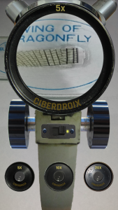 اسکرین شات 6 برنامه Microscope